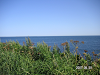s_PICT0474_thumb.png